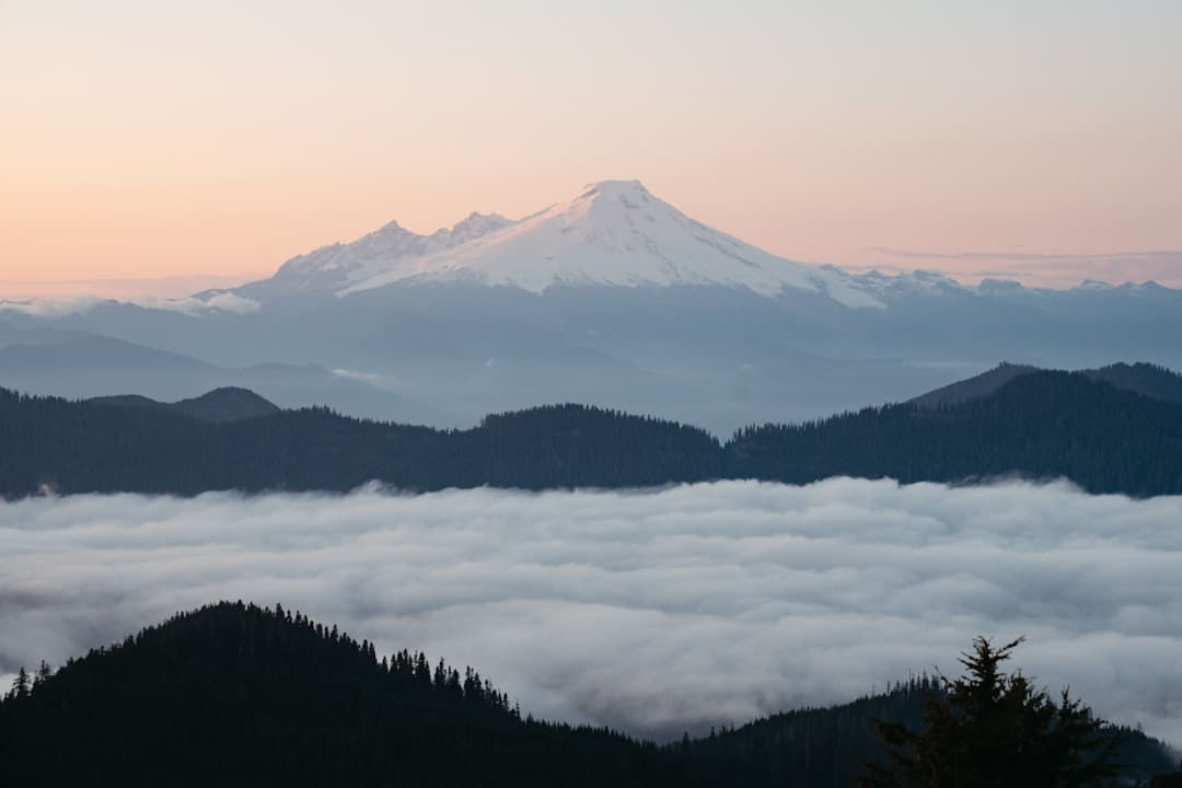 美丽我国丨呼伦贝尔大草原秋景如画